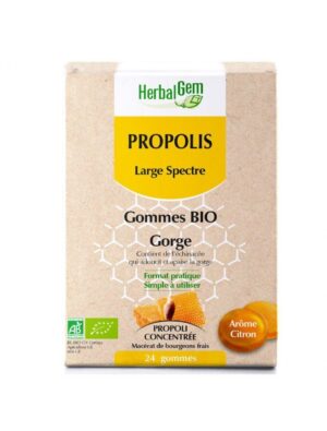 Gommes BIO - Gorge - Ârome citron - 24 gommes