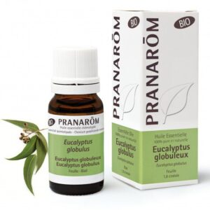 Pranarom - Huile essentielle 100% pure et naturelle - Eucalyptus globuleux - Eucalyptus globulus - 10ml