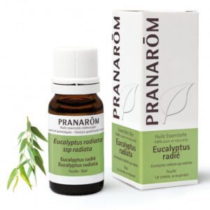 Pranarom - Huile essentielle 100% pure et naturelle - Eucalyptus radié - Aucalyptus radiata ssp radiata - 10ml