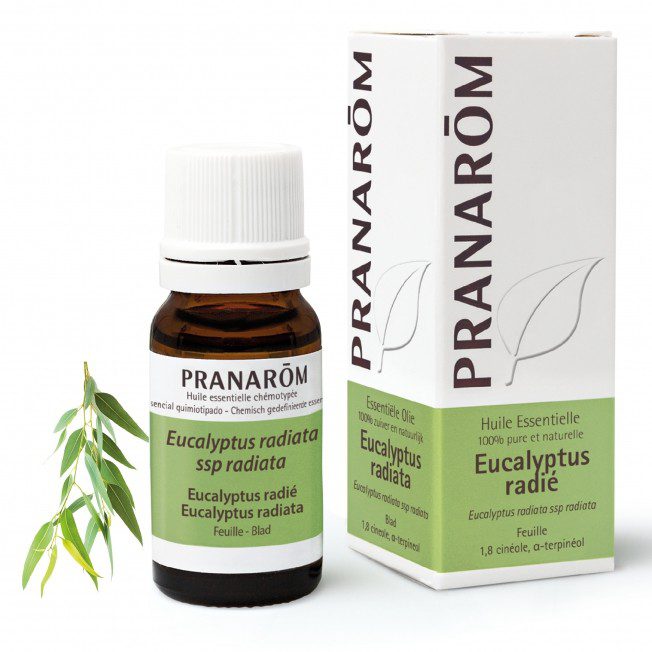 Pranarom - Huile essentielle 100% pure et naturelle - Eucalyptus radié - Aucalyptus radiata ssp radiata - 10ml
