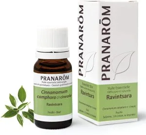 Pranarom - Huile essentielle 100% pure et naturelle - Ravintsara - Cinnamomum camphora cineole - 10ml