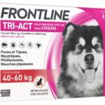 Frontline -TRI-ACT pour Chiens - 3 pipettes de 6ml