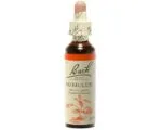 Fleurs de Bach - Mimulus Elixir Floral - 20ml