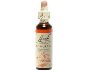 Fleurs de Bach - Mimulus Elixir Floral - 20ml