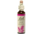 Fleurs de Bach - Pine Elixir Floral - 20ml