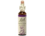 Fleurs de Bach - Impatiens Elixir Floral - 20ml