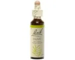Fleurs de Bach - Olive Elixir Floral - 20ml