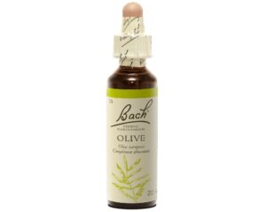 Fleurs de Bach - Olive Elixir Floral - 20ml