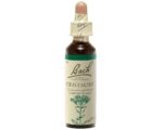 Fleurs de Bach - Centaury Elixir Floral - 20ml