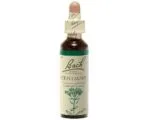 Fleurs de Bach - Centaury Elixir Floral - 20ml