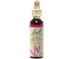 Fleurs de Bach - Sweet Chest nut Elixir Floral - 20ml