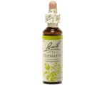 Fleurs de Bach - Clematis Elixir Floral - 20ml