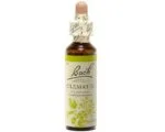 Fleurs de Bach - Clematis Elixir Floral - 20ml