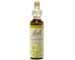 Fleurs de Bach - Clematis Elixir Floral - 20ml