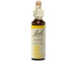 Fleurs de Bach - Gorse Elixir Floral - 20ml