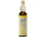 Fleurs de Bach - Gorse Elixir Floral - 20ml