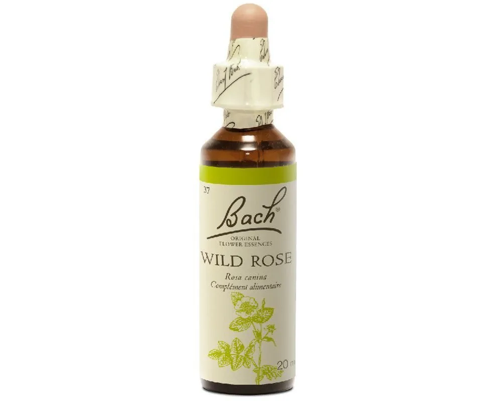 Fleurs de Bach - Wild Rose Elixir Floral - 20ml