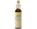 Fleurs de Bach - Scleranthus Elixir Floral - 20ml