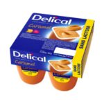 Delical - Crème dessert HP HC sans lactose goût caramel