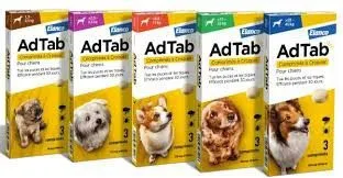 AdTab - 450mg de Lotilaner Antiparasitaire Interne Chien de +11 à 22kg - 3 Comprimés à Croquer