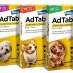 AdTab - 112mg de Lotilaner Antiparasitaire Interne Chien de +2.5 à 5.5kg - 3 Comprimés à Croquer