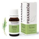 Pranarôm - Huile Essentielle Tea-Tree (Melaleuca alternifolia) 10 ml