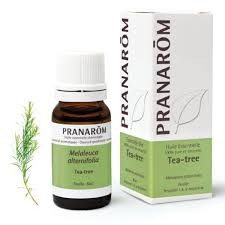 Pranarôm - Huile Essentielle Tea-Tree (Melaleuca alternifolia) 10 ml
