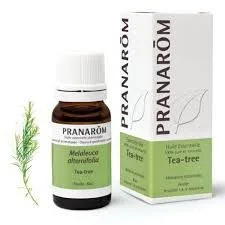 Pranarôm - Huile Essentielle Tea-Tree (Melaleuca alternifolia) 10 ml