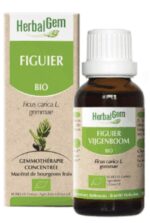 Herbalgem bio figuier - 30ml