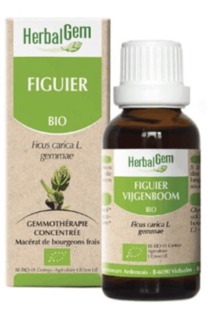 Herbalgem bio figuier - 30ml