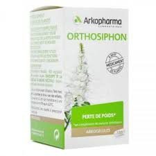 Arkopharma - Arkogélules Orthosiphon 45 gélules
