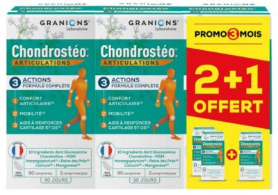 Granions - Chondrostéo + Articulations Lot de 3 x 90 Comprimés dont 90 Comprimés Offerts