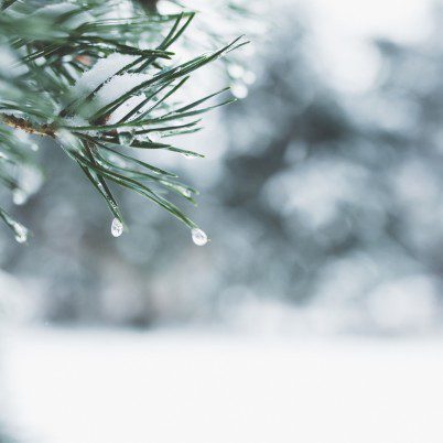 b blog incontournables hiver