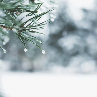 b blog incontournables hiver