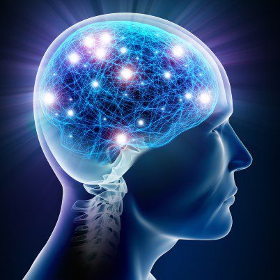 b visuel article syndrome de rett 402