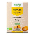 GOMMES Gorge Ârome Citron Herbalgem 24 Gommes