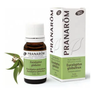 Pranarom - Huile essentielle 100% pure et naturelle - Eucalyptus globuleux - Eucalyptus globulus - 10ml