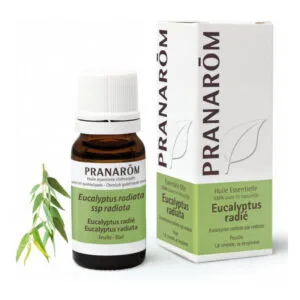 Pranarom - Huile essentielle 100% pure et naturelle - Eucalyptus radié - Aucalyptus radiata ssp radiata - 10ml
