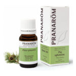 HUILE ESSENTIELLE 100% Pure et Naturelle Pin Sylvestre Pranarom 10ml