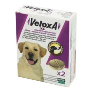 Merial - VELOXA - Comprimés à croquer pour chiens - Plus de 17,5kg - Boite de 2 comprimés