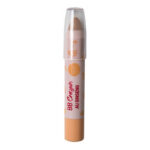 Erborian - BB Crayon au Ginseng - Stick de Teint & Soin Teinte : Nude - Crayon de 3g