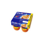 CRÈME Dessert HP HC Sans Lactose Goût Caramel Delical