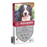 PIPETTES ANTIPARASITAIRES Grand Chien 40 à 6 Advantix 60 Kg