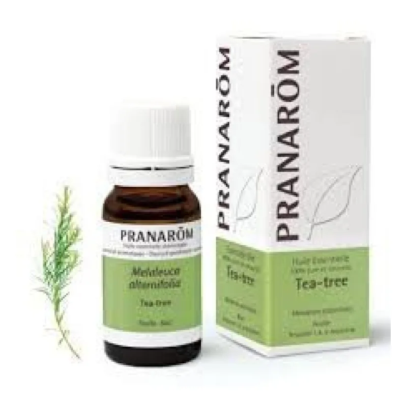 HUILE ESSENTIELLE Tea Tree (Melaleuca Alternifolia) Pranarom 10 Ml