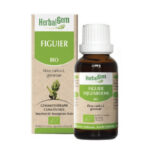 EXTRAIT DE PLANTES Figuier Herbalgem 30ml