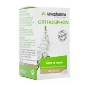 Arkopharma - Arkogélules Orthosiphon 45 gélules