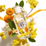 visuels anniversaire 1200x1200 neroli