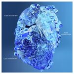 biotherm biocorps serum p91042 g 2