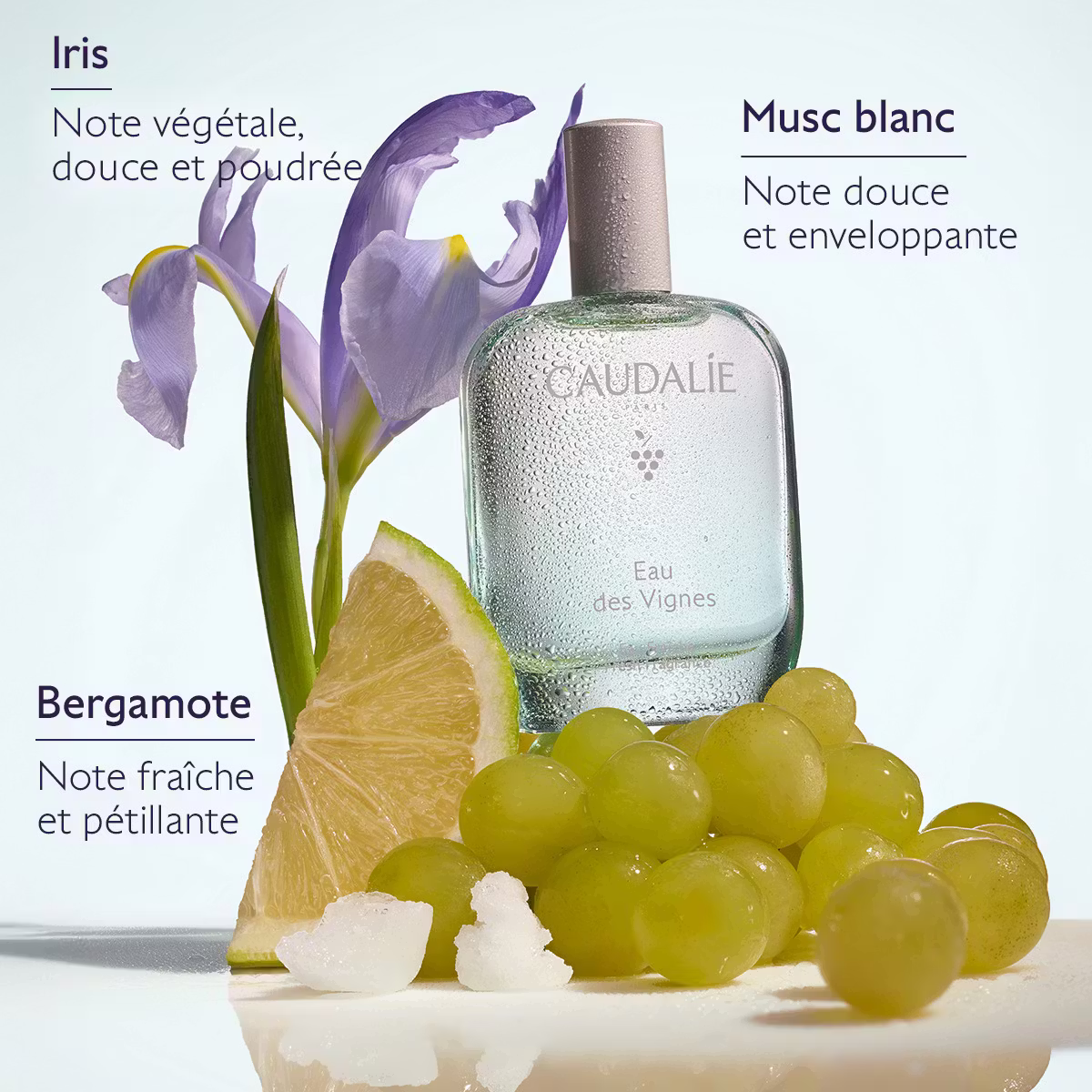 3 fresh fragrance edv ingredients caudalie fr
