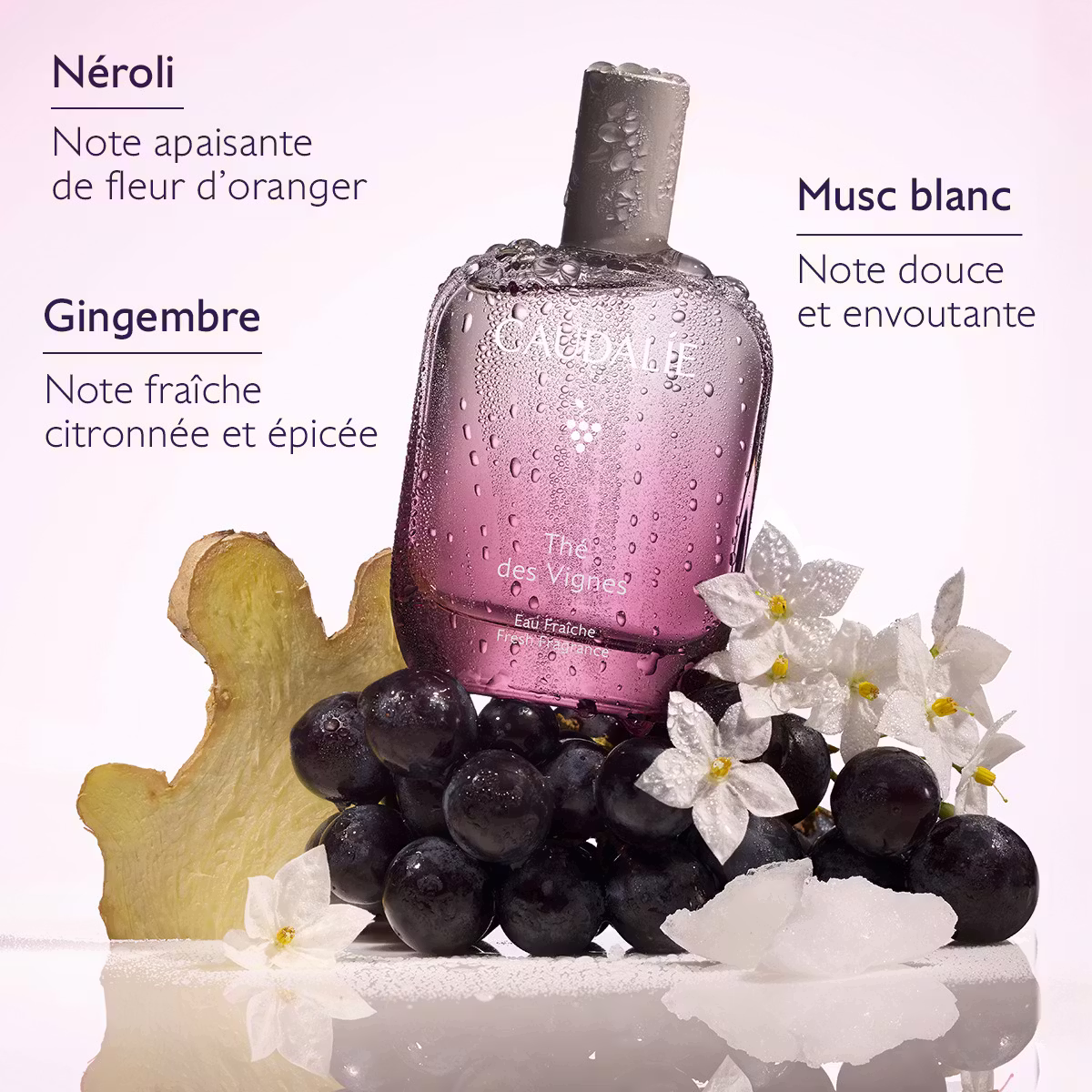 3 fresh fragrance tdv ingredients caudalie fr